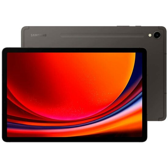 Samsung Galaxy Tab S9 WiFi+5G 12GB/256GB Graphite