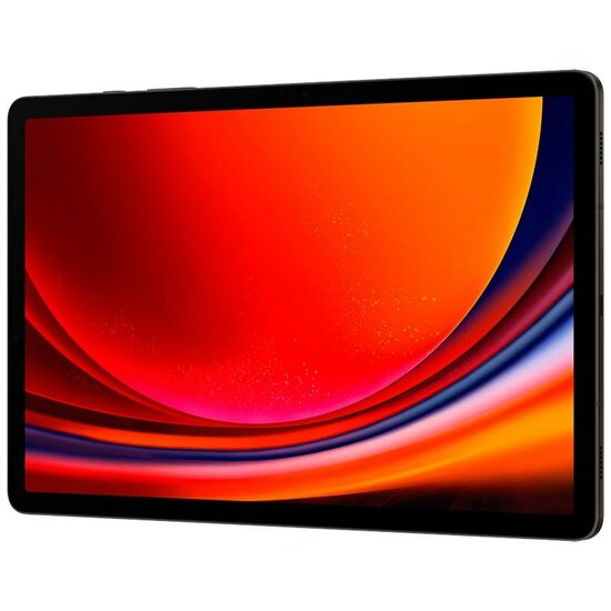 Samsung Galaxy Tab S9 WiFi+5G 8GB/128GB Graphite