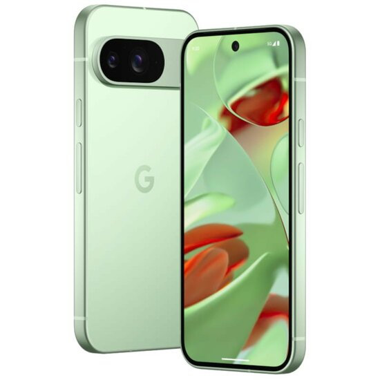 Google Pixel 9 5G 12GB/128GB Wintergreen