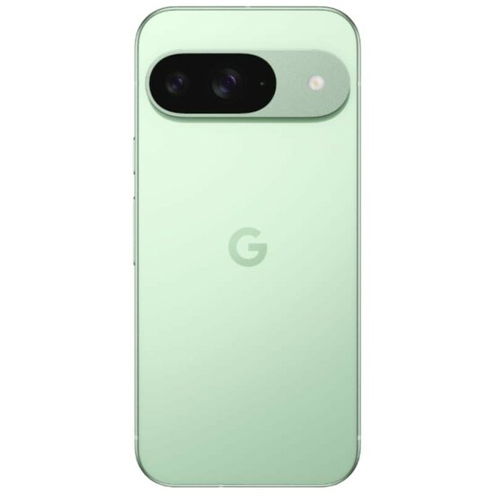 Google Pixel 9 5G 12GB/128GB Wintergreen