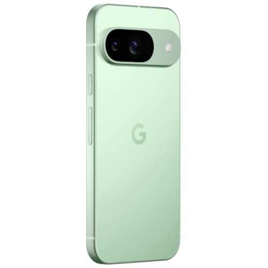 Google Pixel 9 5G 12GB/128GB Wintergreen